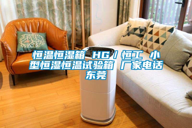 恒溫恒濕箱 HG／恒工 小型恒濕恒溫試驗箱 廠家電話東莞