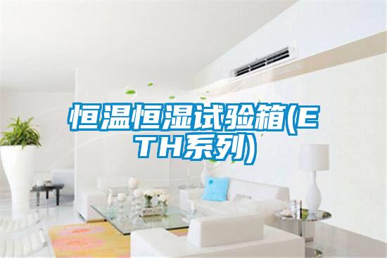恒溫恒濕試驗箱(ETH系列)