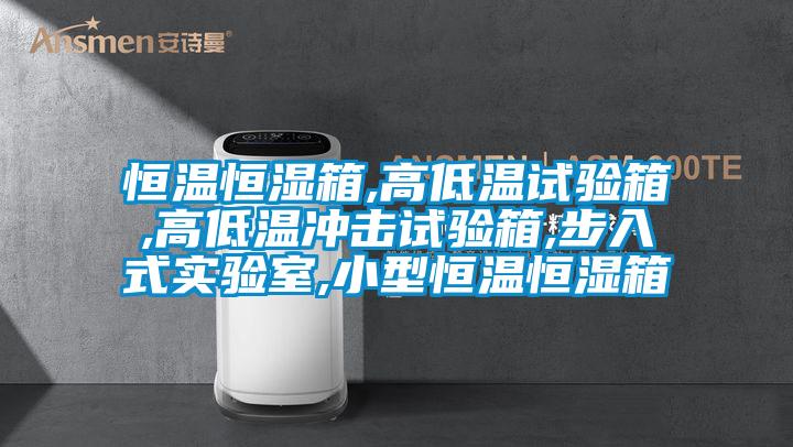 恒溫恒濕箱,高低溫試驗箱,高低溫沖擊試驗箱,步入式實驗室,小型恒溫恒濕箱