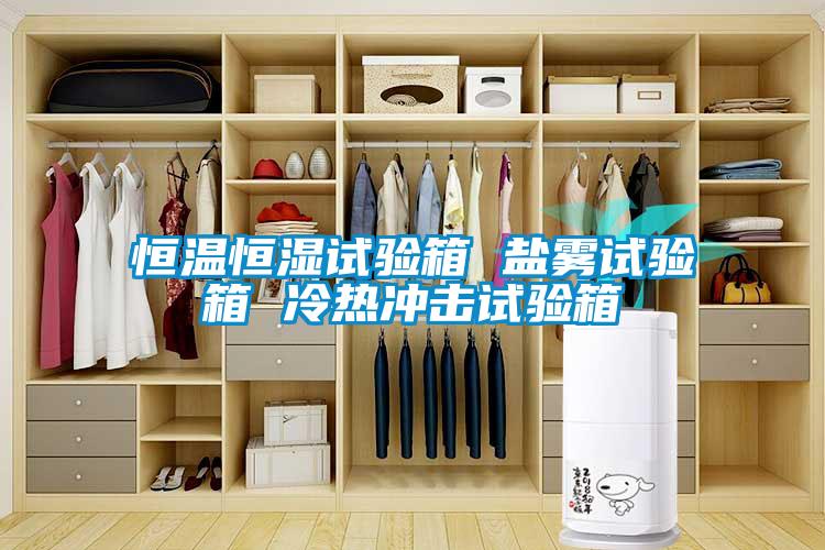 恒溫恒濕試驗箱 鹽霧試驗箱 冷熱沖擊試驗箱