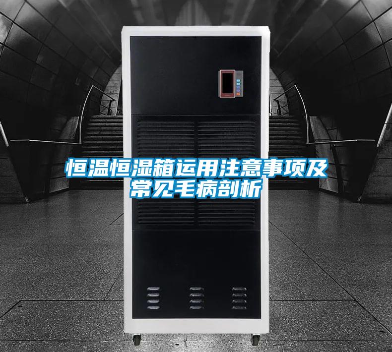 恒溫恒濕箱運用注意事項及常見毛病剖析