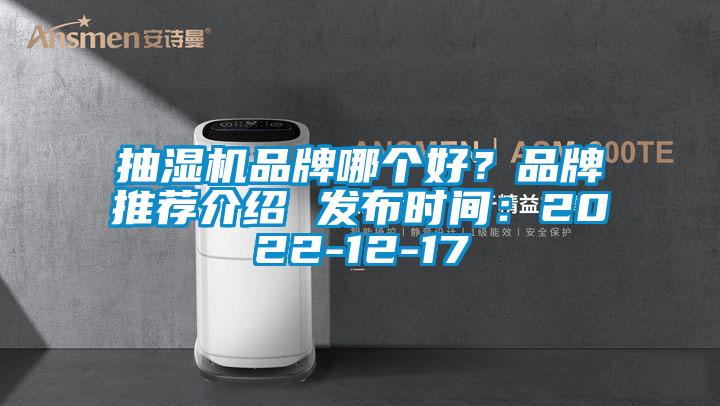 抽濕機品牌哪個好？品牌推薦介紹 發布時間：2022-12-17