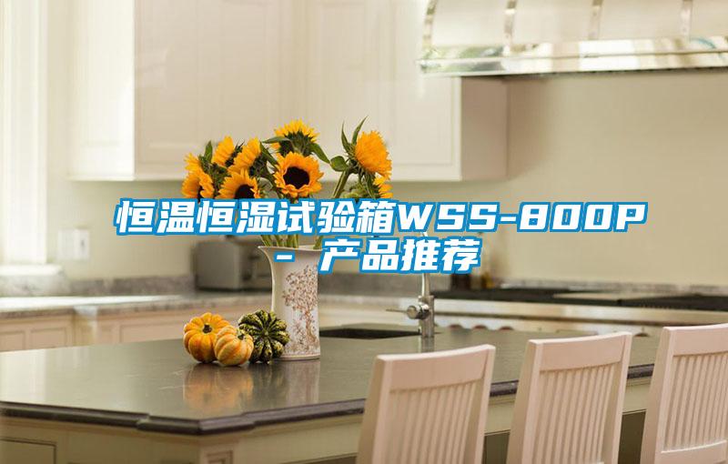 恒溫恒濕試驗箱WSS-800P - 產品推薦