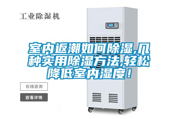 室內返潮如何除濕,幾種實用除濕方法,輕松降低室內濕度！