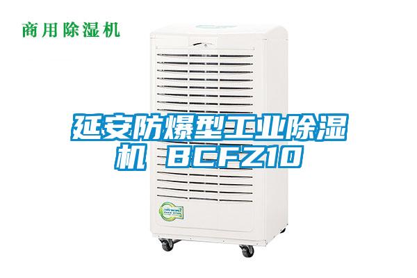 延安防爆型工業除濕機 BCFZ10