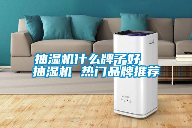 抽濕機(jī)什么牌子好  抽濕機(jī) 熱門品牌推薦