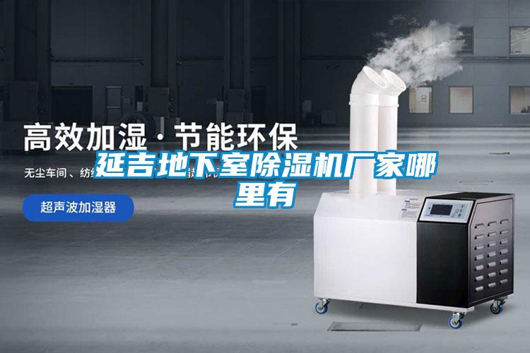延吉地下室除濕機廠家哪里有