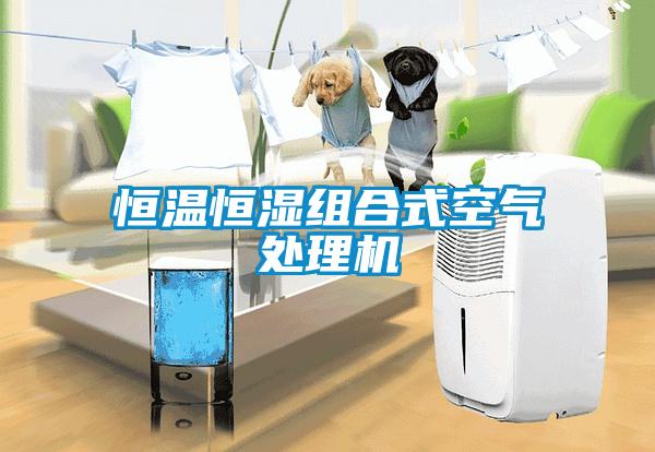 恒溫恒濕組合式空氣處理機