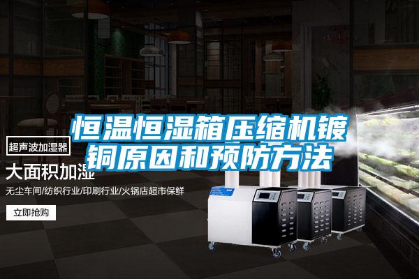 恒溫恒濕箱壓縮機鍍銅原因和預防方法