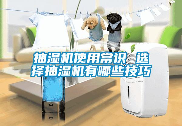 抽濕機(jī)使用常識 選擇抽濕機(jī)有哪些技巧