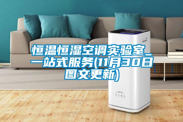 恒溫恒濕空調實驗室_一站式服務(11月30日圖文更新)