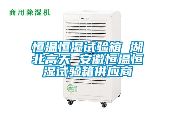 恒溫恒濕試驗箱 湖北高天 安徽恒溫恒濕試驗箱供應(yīng)商