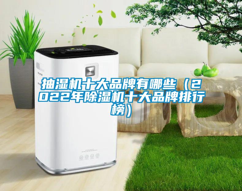 抽濕機(jī)十大品牌有哪些（2022年除濕機(jī)十大品牌排行榜）