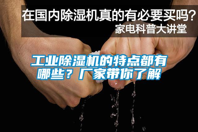 工業(yè)除濕機(jī)的特點(diǎn)都有哪些？廠家?guī)懔私?></div>
								<div   id=