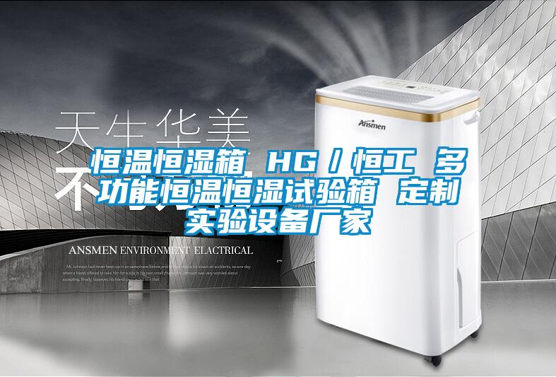 恒溫恒濕箱 HG／恒工 多功能恒溫恒濕試驗箱 定制實驗設備廠家