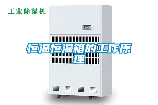恒溫恒濕箱的工作原理