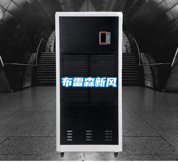 布雷森新風