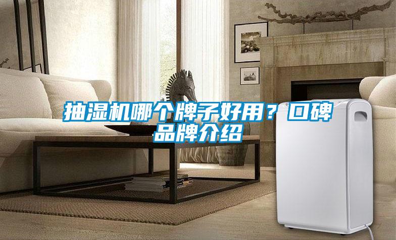 抽濕機哪個牌子好用？口碑品牌介紹