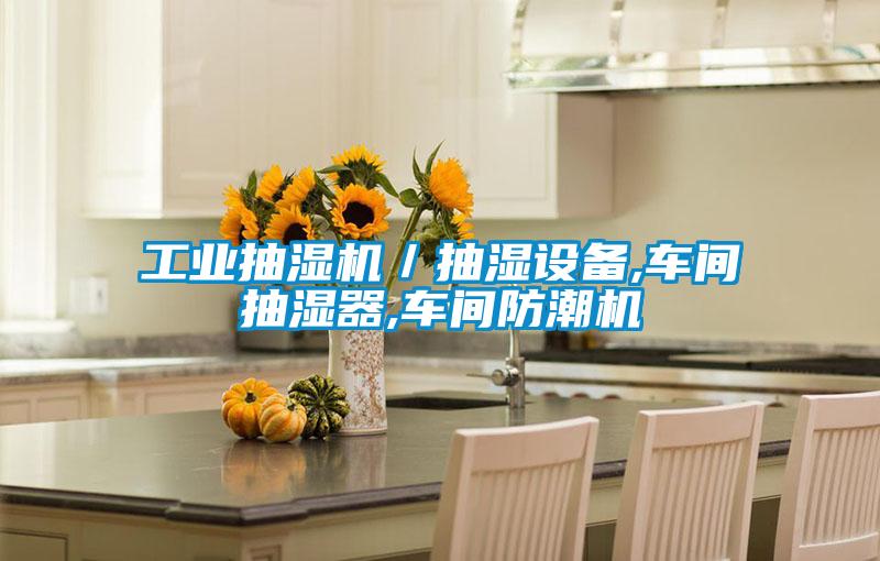 工業抽濕機／抽濕設備,車間抽濕器,車間防潮機