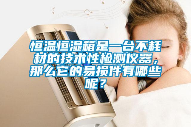 恒溫恒濕箱是一臺不耗材的技術性檢測儀器，那么它的易損件有哪些呢？
