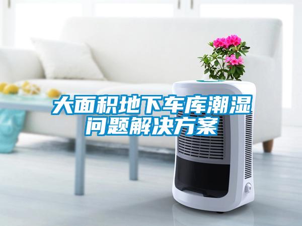 大面積地下車庫(kù)潮濕問題解決方案