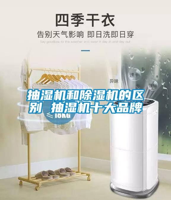 抽濕機(jī)和除濕機(jī)的區(qū)別 抽濕機(jī)十大品牌