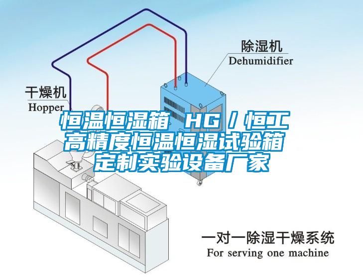 恒溫恒濕箱 HG／恒工 高精度恒溫恒濕試驗箱 定制實驗設備廠家