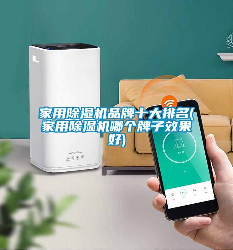 家用除濕機(jī)品牌十大排名(家用除濕機(jī)哪個(gè)牌子效果好)