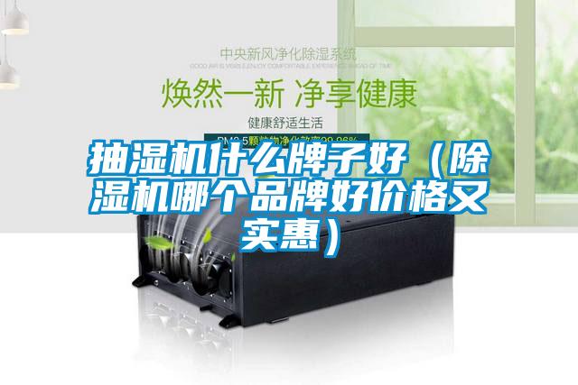 抽濕機(jī)什么牌子好（除濕機(jī)哪個品牌好價格又實惠）