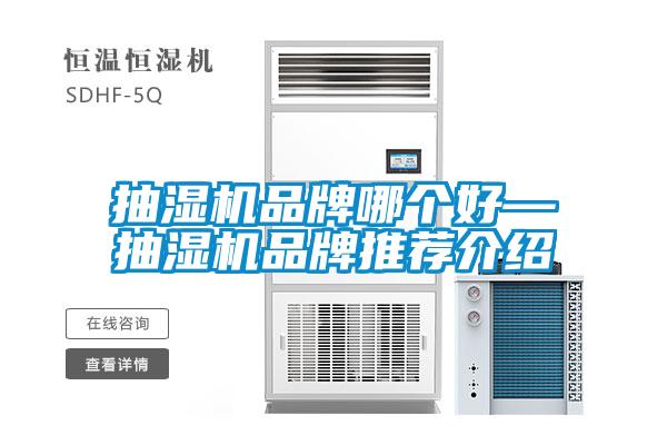 抽濕機品牌哪個好—抽濕機品牌推薦介紹
