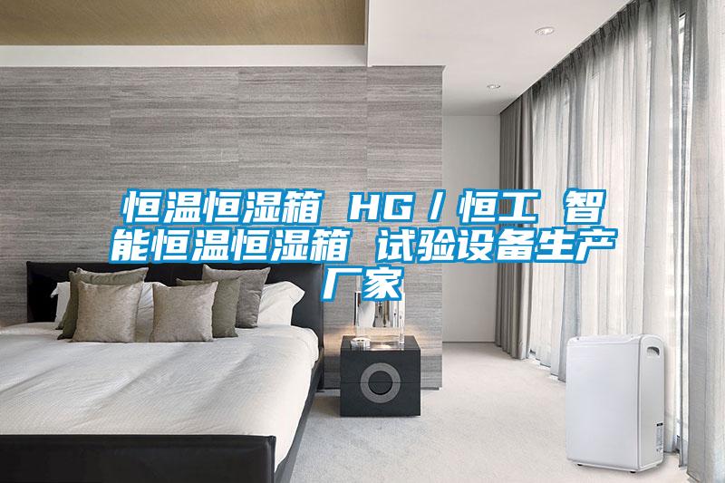 恒溫恒濕箱 HG／恒工 智能恒溫恒濕箱 試驗設備生產廠家