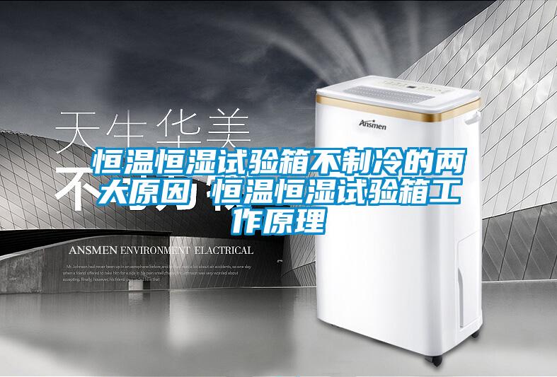 恒溫恒濕試驗箱不制冷的兩大原因 恒溫恒濕試驗箱工作原理