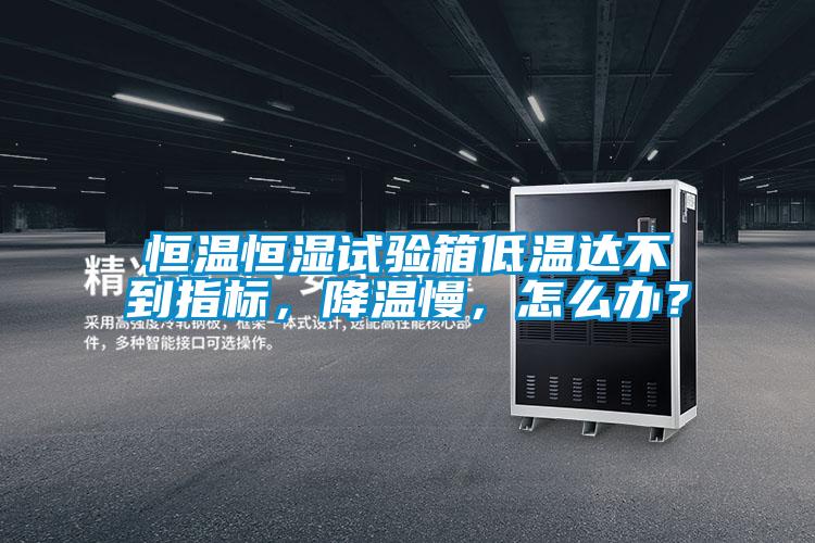 恒溫恒濕試驗箱低溫達不到指標，降溫慢，怎么辦？