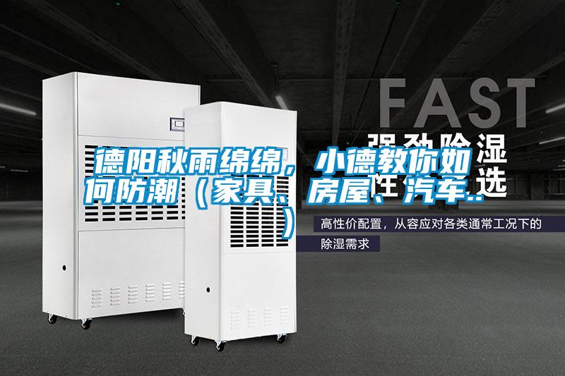 德陽秋雨綿綿，小德教你如何防潮（家具、房屋、汽車..）