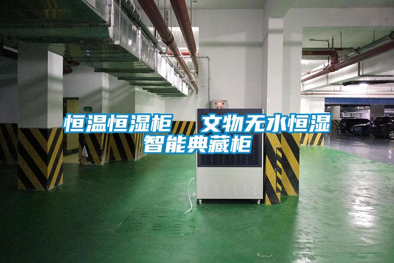 恒溫恒濕柜  文物無水恒濕智能典藏柜