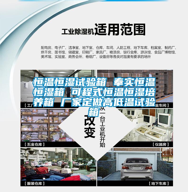 恒溫恒濕試驗箱 奉實恒溫恒濕箱 可程式恒溫恒濕培養(yǎng)箱 廠家定做高低溫試驗箱