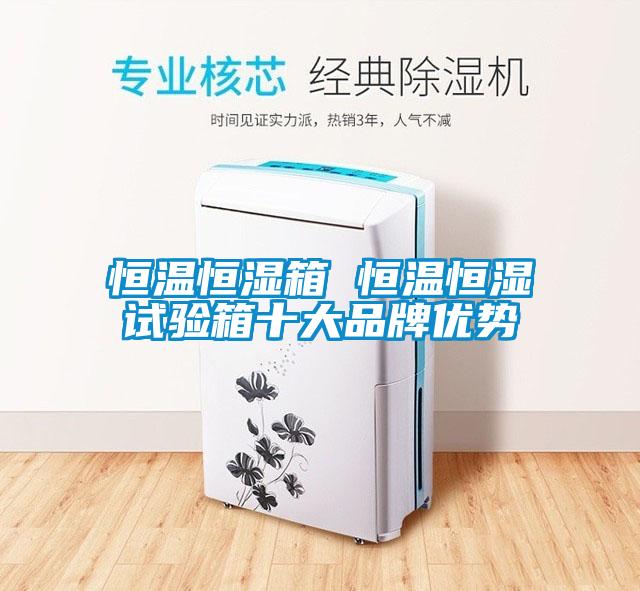 恒溫恒濕箱 恒溫恒濕試驗箱十大品牌優勢
