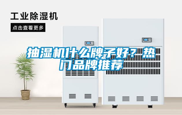 抽濕機(jī)什么牌子好？熱門品牌推薦