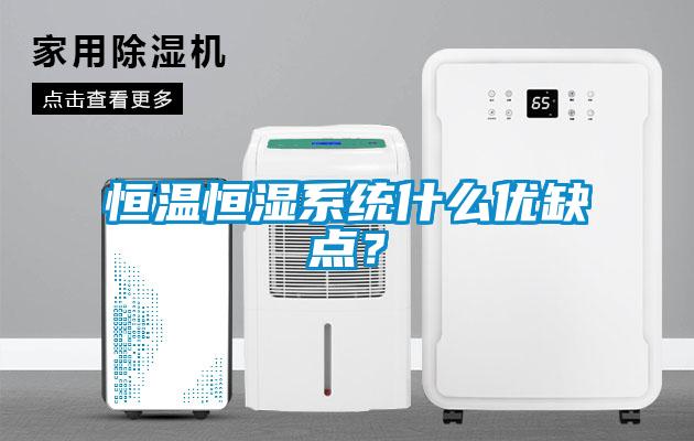 恒溫恒濕系統什么優缺點？