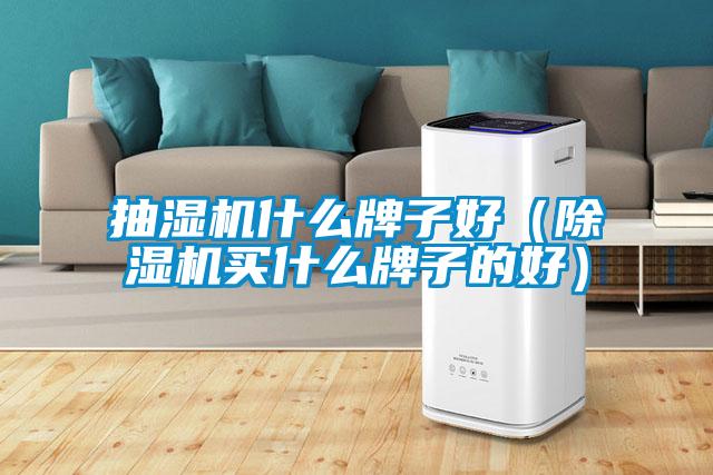 抽濕機(jī)什么牌子好（除濕機(jī)買什么牌子的好）