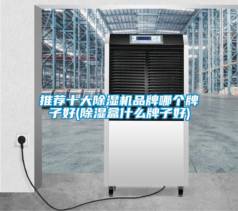 推薦十大除濕機(jī)品牌哪個牌子好(除濕盒什么牌子好)