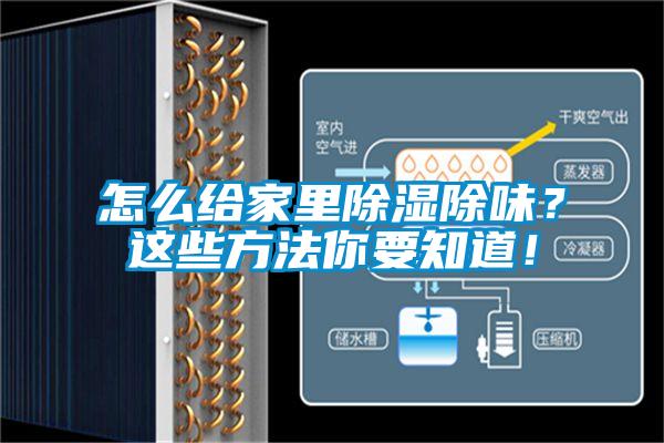 怎么給家里除濕除味？這些方法你要知道！