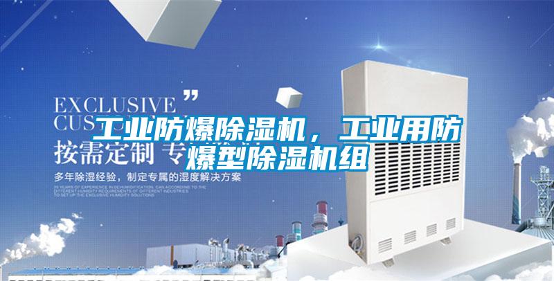 工業防爆除濕機，工業用防爆型除濕機組
