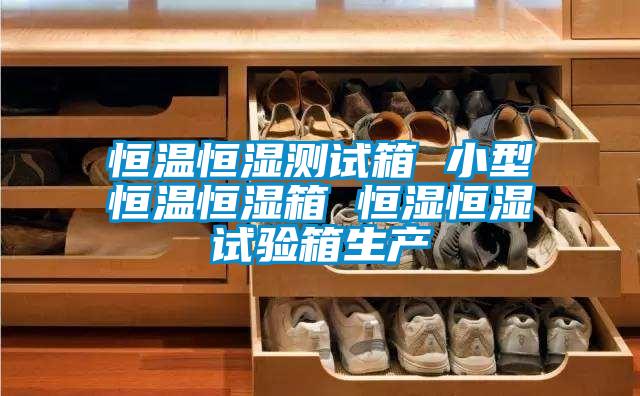 恒溫恒濕測試箱 小型恒溫恒濕箱 恒濕恒濕試驗箱生產