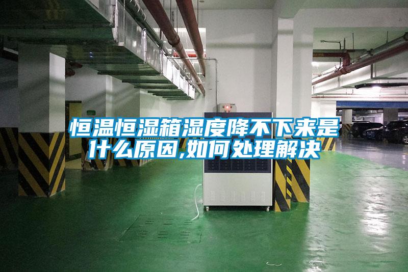 恒溫恒濕箱濕度降不下來是什么原因,如何處理解決