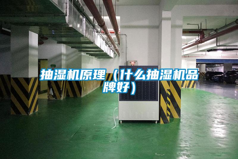 抽濕機(jī)原理（什么抽濕機(jī)品牌好）