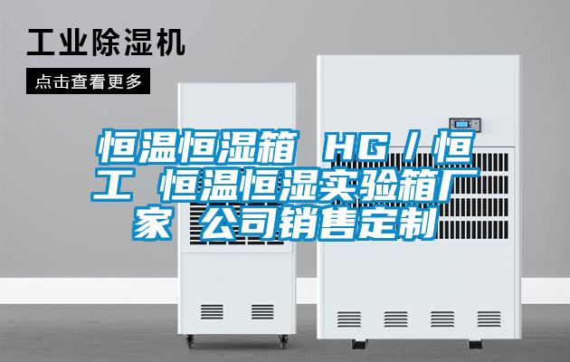 恒溫恒濕箱 HG／恒工 恒溫恒濕實驗箱廠家 公司銷售定制