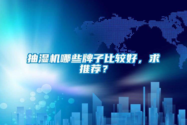 抽濕機哪些牌子比較好，求推薦？