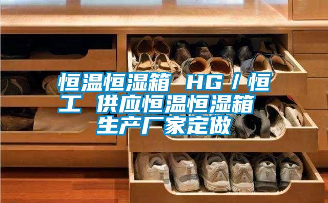 恒溫恒濕箱 HG／恒工 供應恒溫恒濕箱 生產廠家定做
