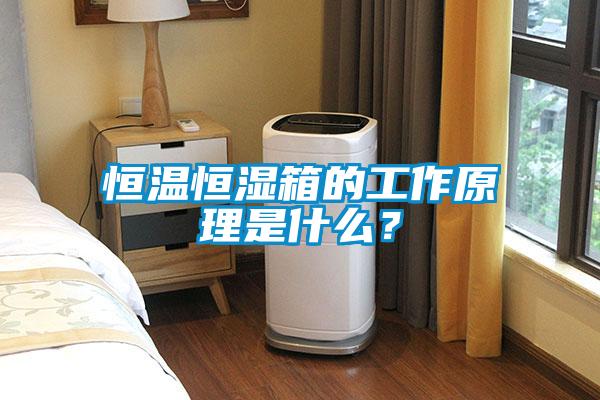 恒溫恒濕箱的工作原理是什么？
